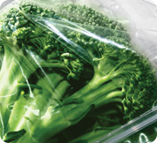 ExtendCast™ Broccoli