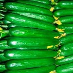 ExtendCast™ Cucumber